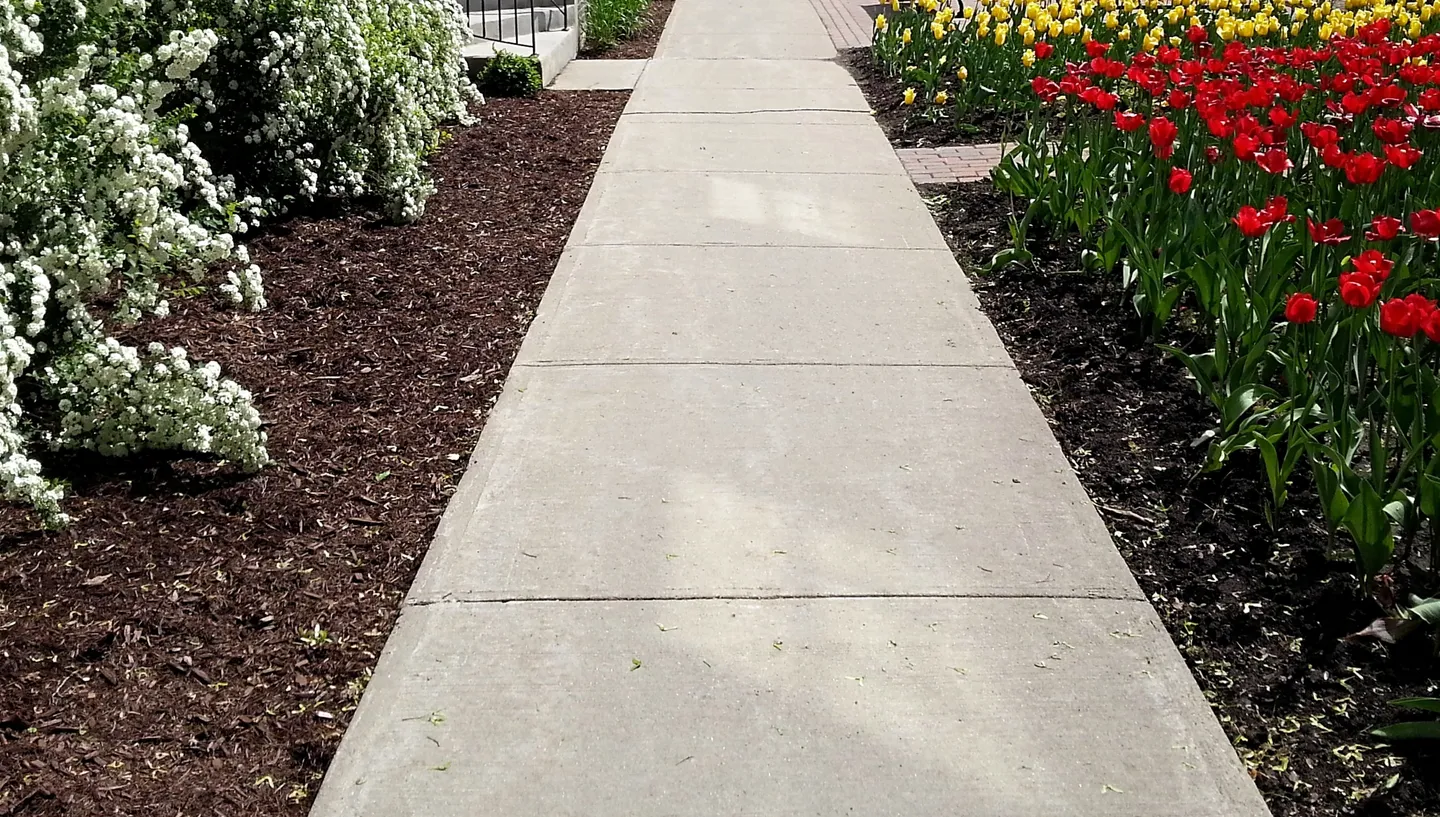 A walkway with concrete and mulch in the middle of it.